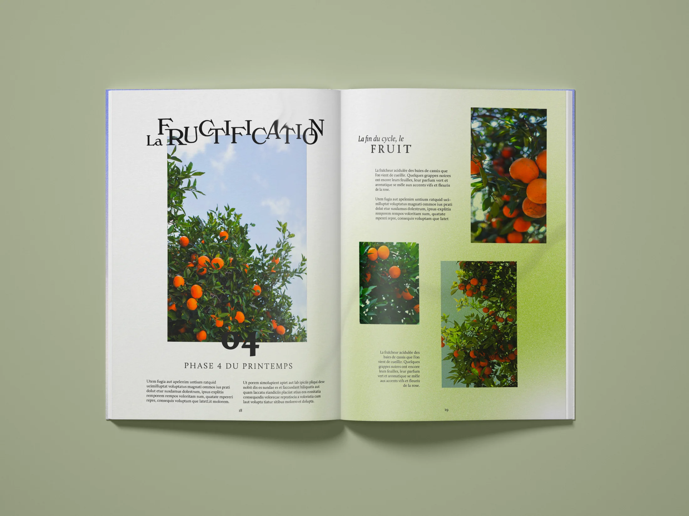 Diptyque, double page Fructification, phase 04 et fin du cycle : oranger en gros plan, typographie La Fructification, fond vert tendre.
