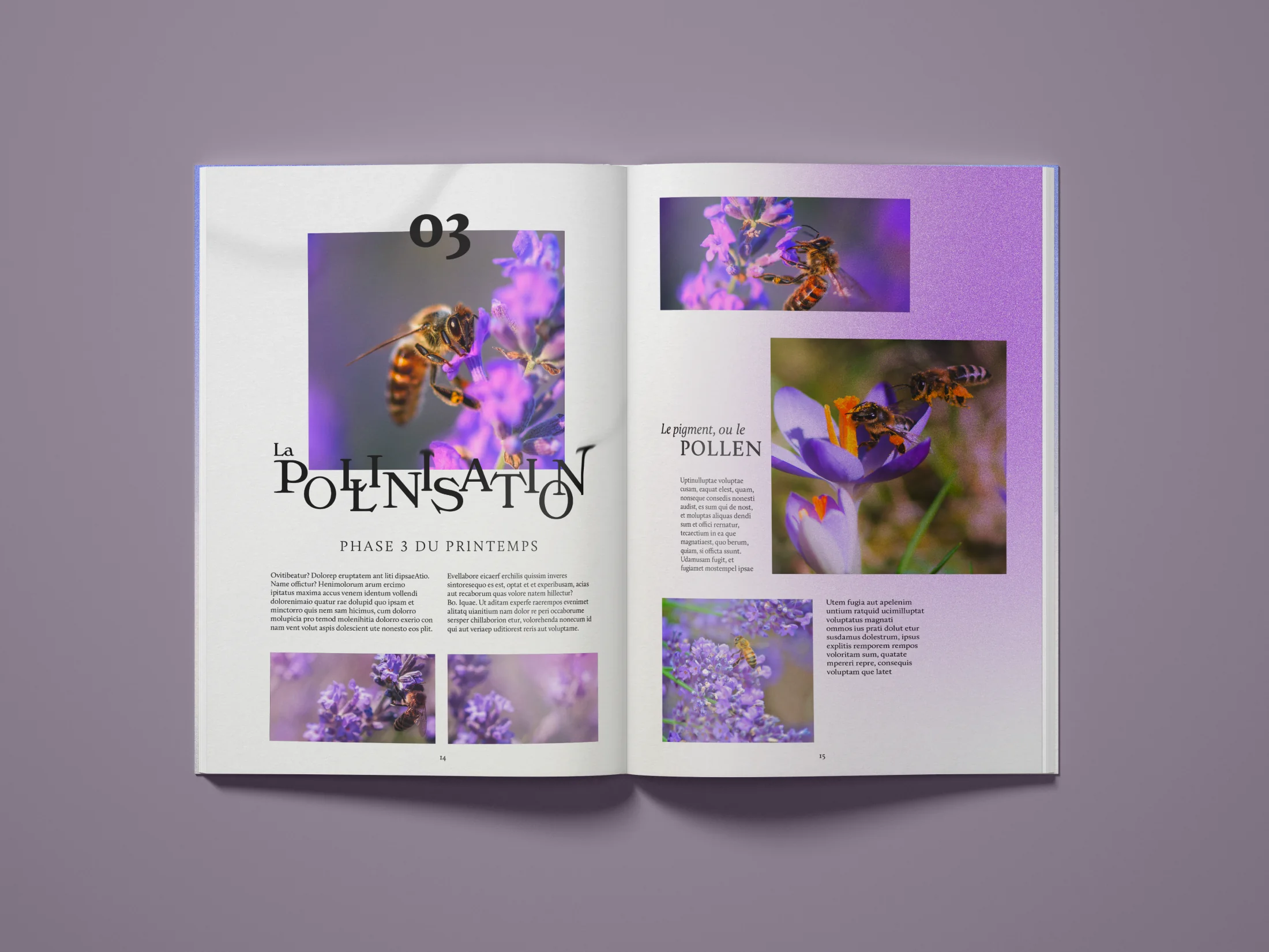 Diptyque, double page Pollinisation, phase 03 du printemps : abeille butinant la lavande, macro mauve, typographie qui se disperse.