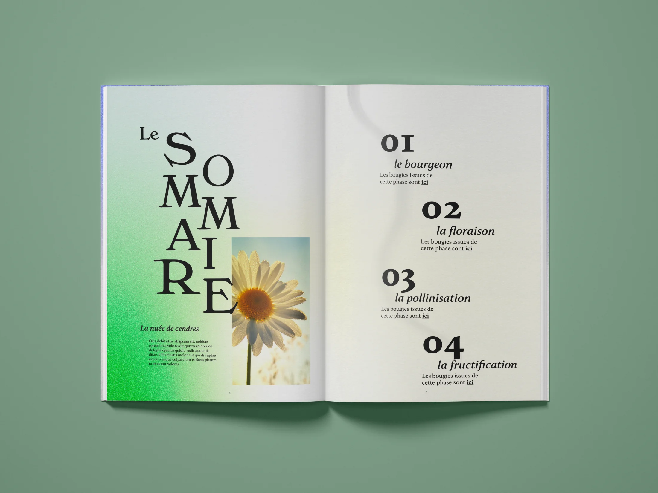 Diptyque, double page sommaire : Le Sommaire en bloc typographique, marguerite en hommage au printemps, sommaire numéroté quatre phases.